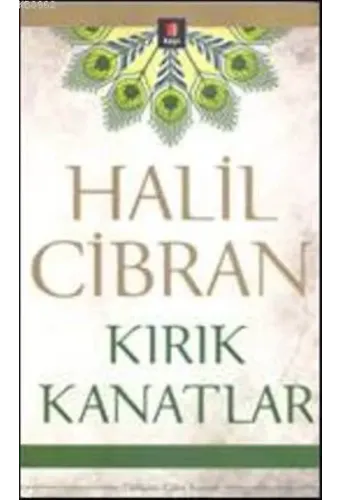 Kırık Kanatlar