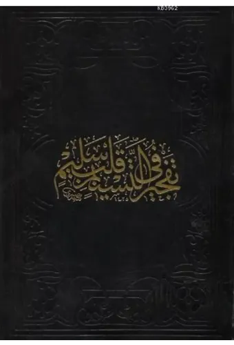 Tefcîru't Tesnîm (Ciltli); Mev'iza