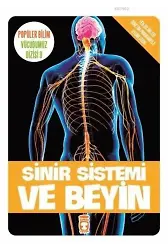 Sinir Sistemi ve Beyin; Popüler Bilim - Vücudumuz Dizisi 9, 9+ Yaş