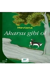 Akarsu Gibi Ol