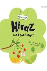 Kiraz Nasıl Yaratılıyor?