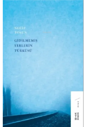 Gidilmemiş Yerlerin