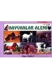 Karton Kitaplar - 9 - Hayvanlar Alemi