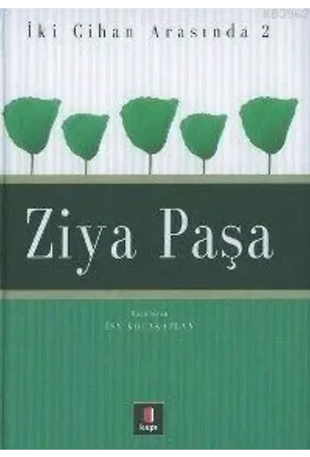 İki Cihan Arasında 2 - Ziya Paşa