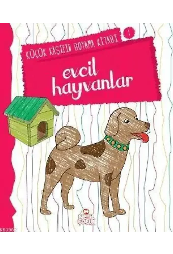 Evcil Hayvanlar