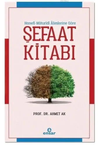 Şefaat Kitabı; Hanefi - Maturidi Alimlerine Göre