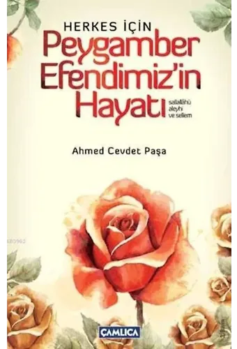 Herkes İçin Peygamber Efendimiz'in Hayatı