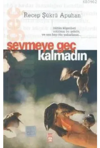 Sevmeye Geç Kalmadın