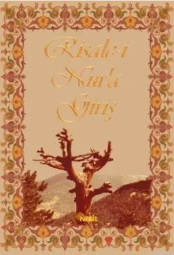 Risale-i Nur'a Giriş