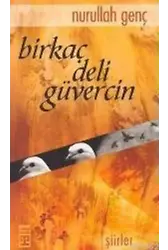 Birkaç Deli Güvercin
