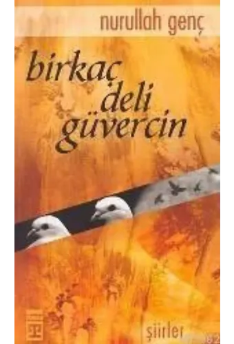 Birkaç Deli Güvercin