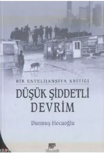 Düşük Şiddetli Devrim