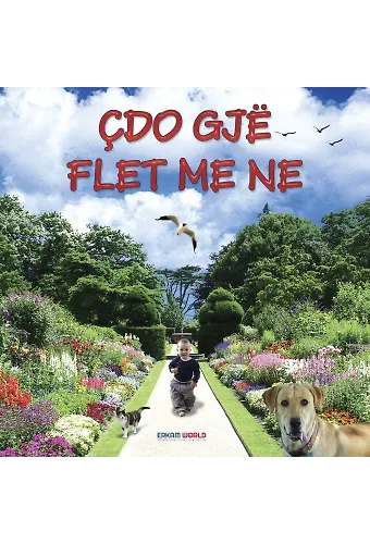 Çdo Gjë Flet Me Ne