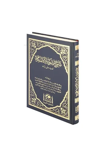 Şerhu Şiratil İslam