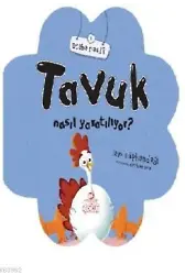 Tavuk Nasıl Yaratılıyor?