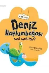 Deniz Kaplumbağası Nasıl Yaratılıyor?