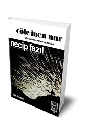 Çöle İnen Nur