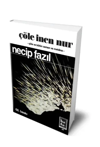 Çöle İnen Nur