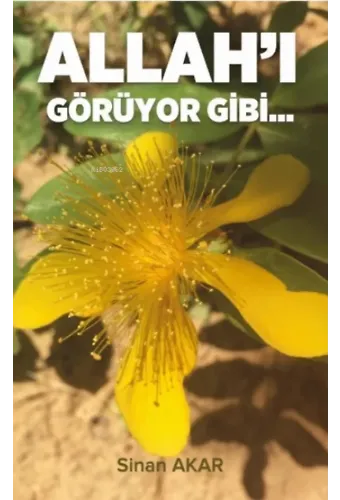Allah'ı Görüyor Gibi