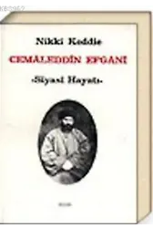 Cemaleddin Efgani - Siyasi Hayatı