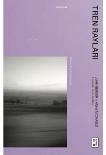 Tren Rayları