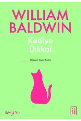 Kediye Dikkat