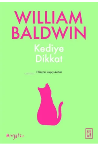 Kediye Dikkat
