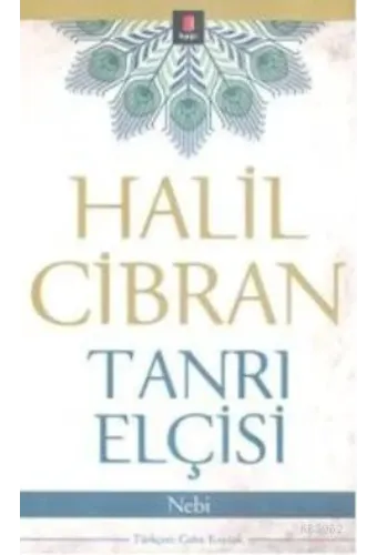 Tanrı Elçisi; Nebi