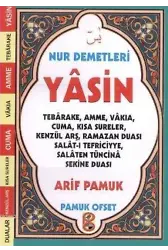 Nur Demetleri Yasin (Yas-140, Cep Boy)
