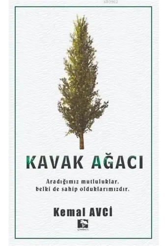 Kavak Ağacı