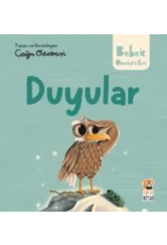 Hikayeli İlk Kavramlarım - Duyular