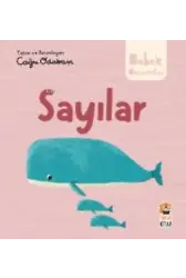 Hikayeli İlk Kavramlarım ;Sayılar