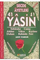 Secde Ayetleri 41 Yasin