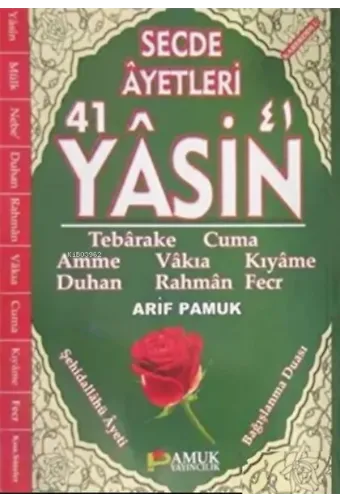 Secde Ayetleri 41 Yasin