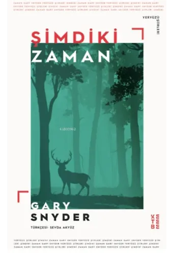Şimdiki Zaman