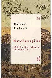 Huylanışlar
