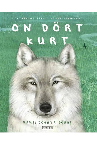 On Dört Kurt