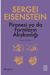Piranesi ya da Formların Akışkanlığı