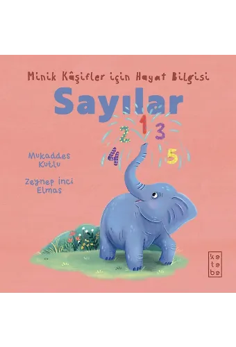 Sayılar
