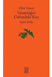 Yanardağın Üstündeki Kuş (Ciltli)