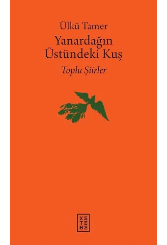 Yanardağın Üstündeki Kuş (Ciltli)