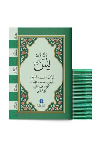 41 Yasini Şerif Cüzü Çanta Boy (Büyük Yazılı)