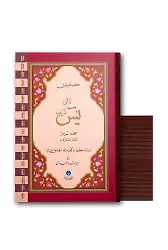 41 Yasini Şerif Cüzü Orta Boy (Mealli, Genişletilmiş)