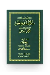 Sikkei Tasdiki Gaybi - Yeşil (Yazı Eseri Cilt Kapağı)