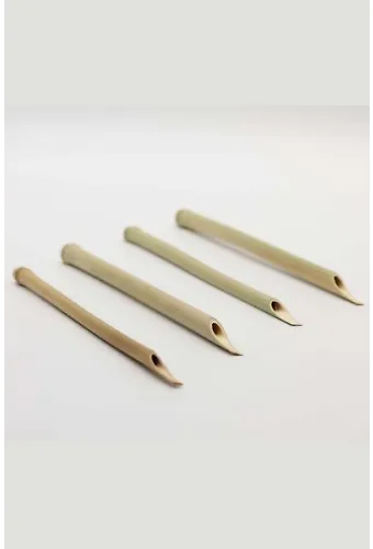 Bambu Kamış 1