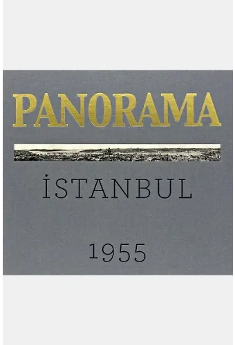 Bir İstanbul Panoraması 1955 An Istanbul Panorama 1955 Gri