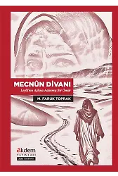 Mecnûn Divanı