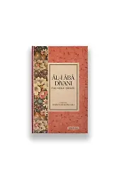 Ali Aba Divanı | Dursun Ali Erzincanlı