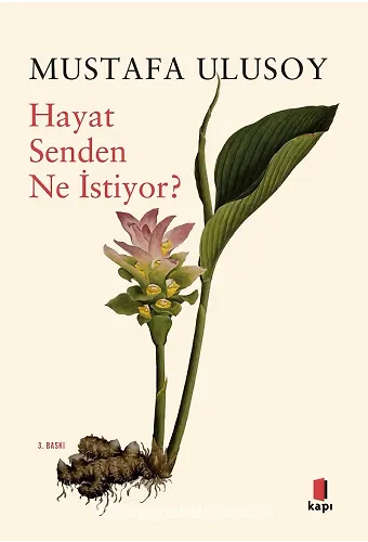 Hayat Senden Ne İstiyor?