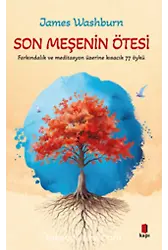 Son Meşenin Ötesi